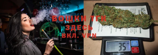 PSILOCYBIN Михайлов