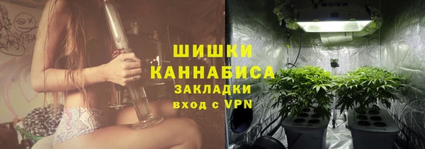 PSILOCYBIN Михайлов