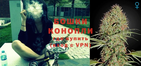 PSILOCYBIN Михайлов