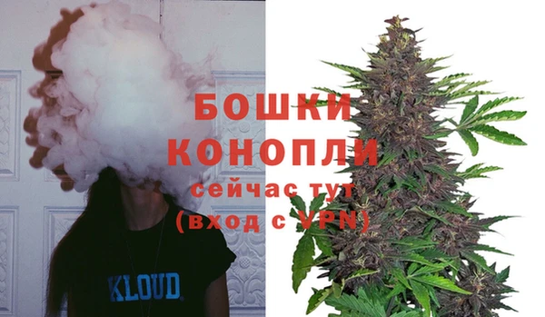 PSILOCYBIN Михайлов
