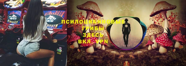PSILOCYBIN Михайлов